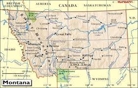 montana pi license test